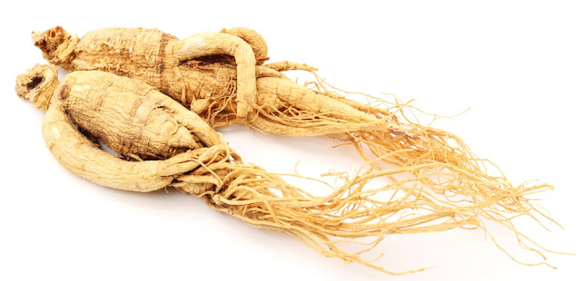 10 Best Anti-Aging Herbs for a Younger Looking Skin 10 Best Anti-Aging Herbs for a Younger Looking Skin