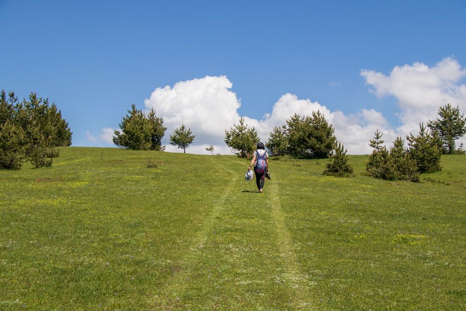 A person with a backpack hikes up a grassy hill with scattered trees under a blue sky with fluffy clouds.